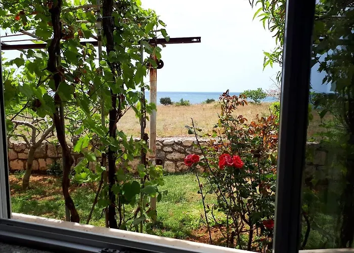 Lejlighed Private ,surrounded By Nature,50m From The Sea Povljana