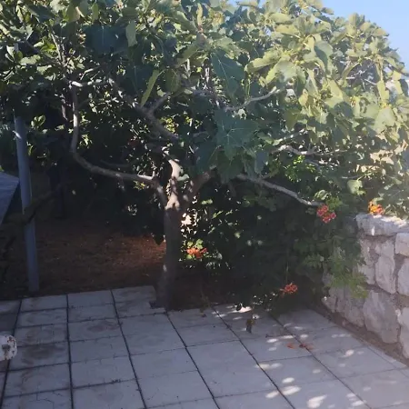 Private ,surrounded By Nature,50m From The Sea *