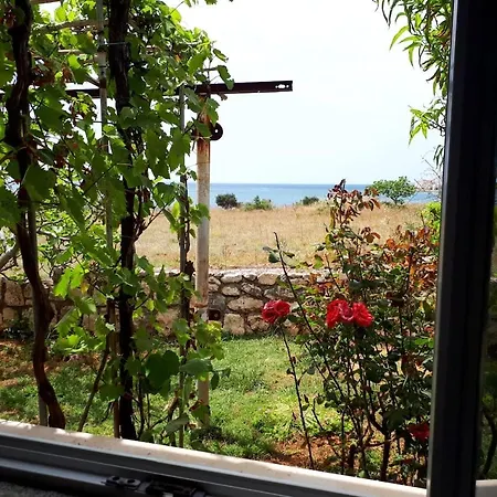 Apartment Private ,surrounded By Nature,50m From The Sea Povljana