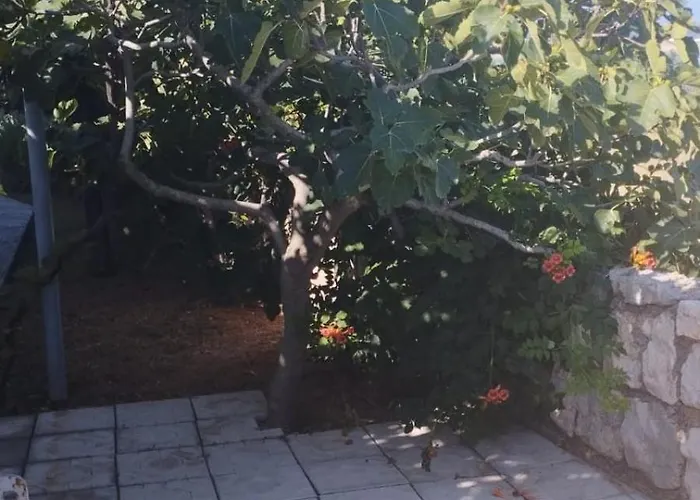 Private ,surrounded By Nature,50m From The Sea *